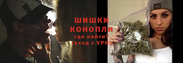 гидропоника Рославль