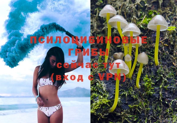 герыч Россошь