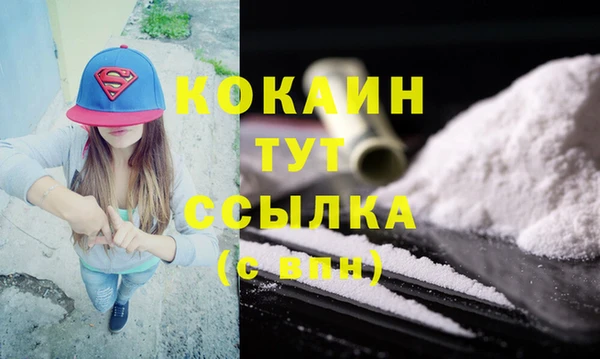 гидропоника Рославль
